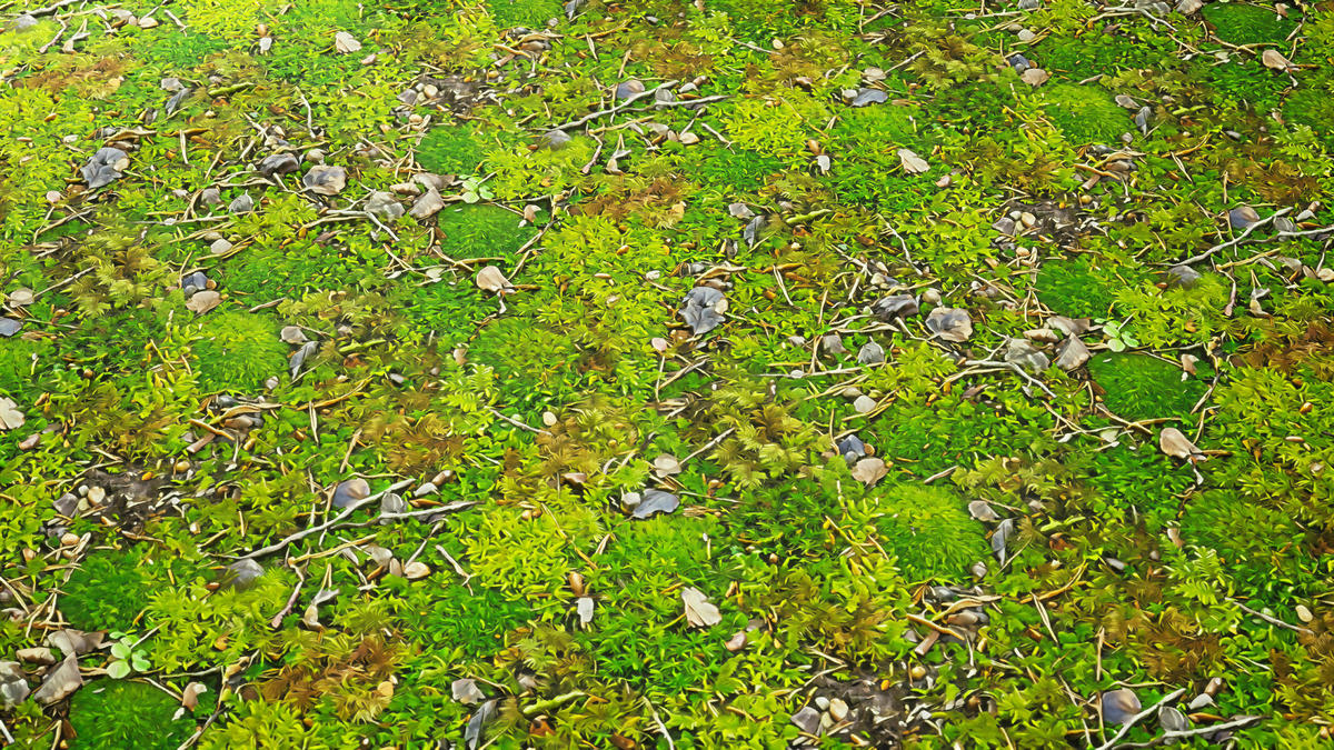 Stylized Materials - Forest Ground 1