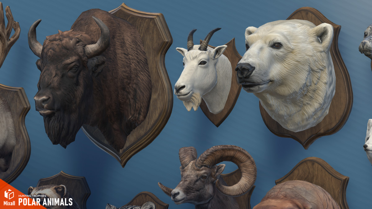 Polar animals – Hunting trophies