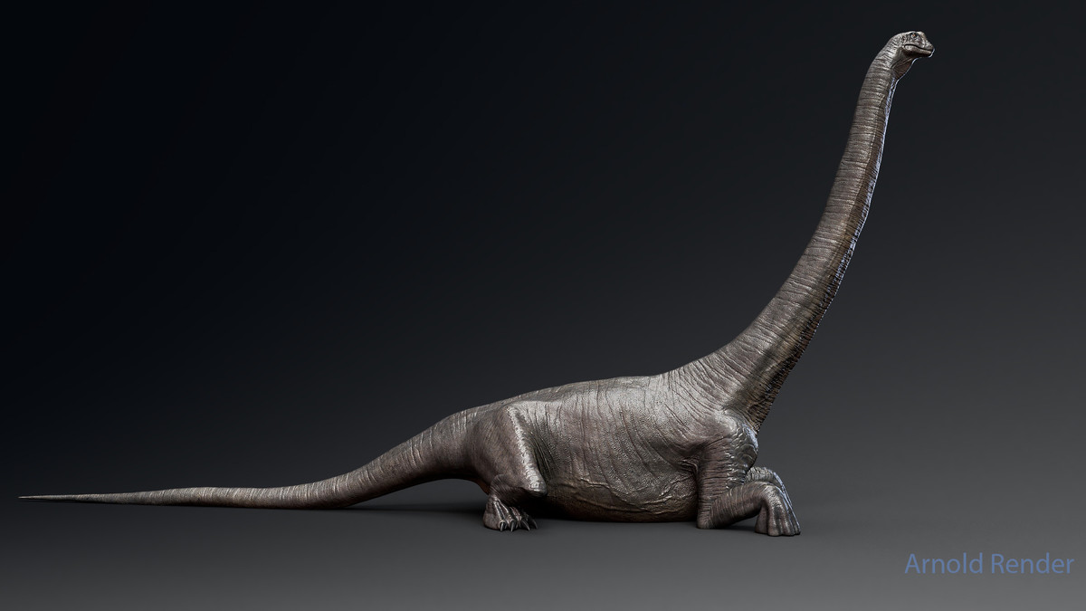 Dinosaur Argentinosaurus Sauropod