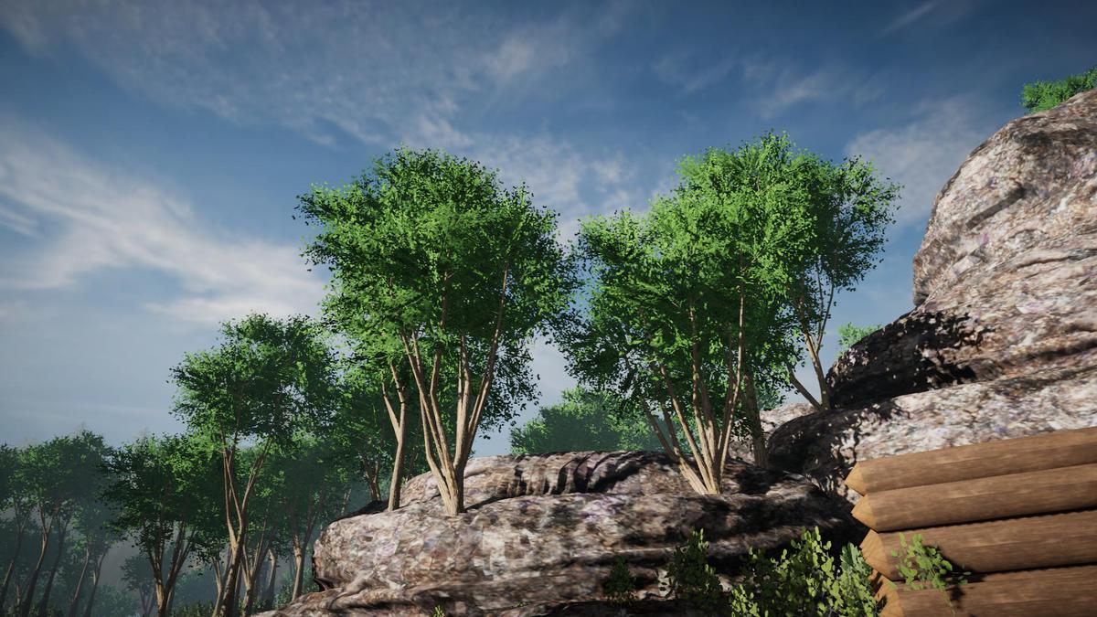 Asset Screenshot 3