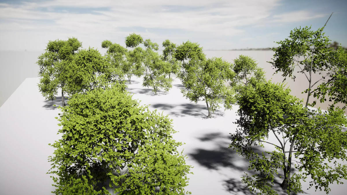 All Tree Bundle (All in One)