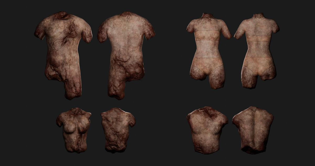 Human Body Parts