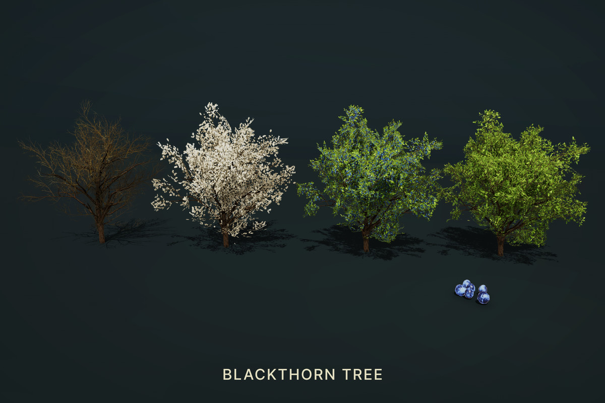 Wild Orchard: Hedgerow Trees | Harvestable Berries