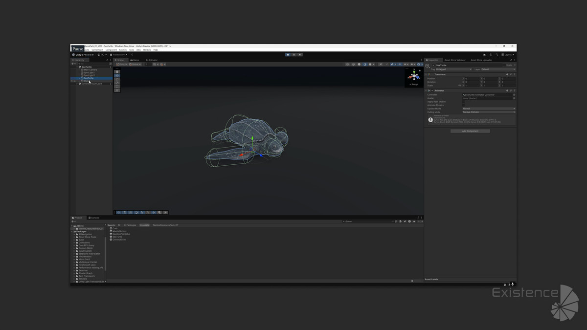 Crab - Coconut Crab - Mantis Shrimp - Sea Turtle - Nautilus - #70