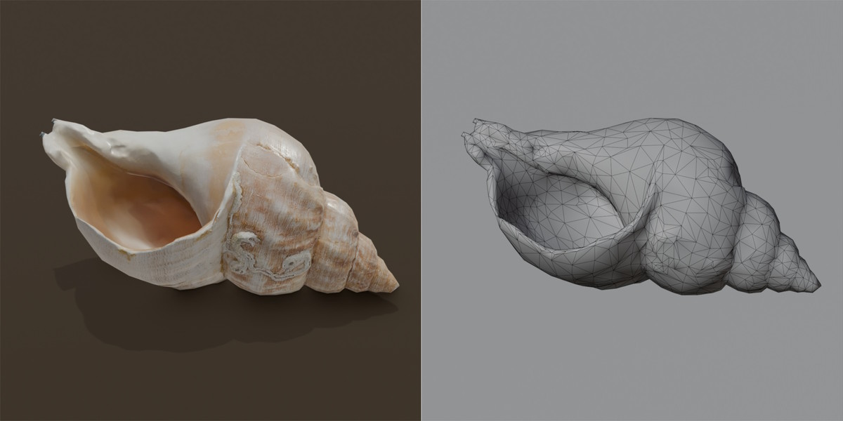 Animated Hermit Crab