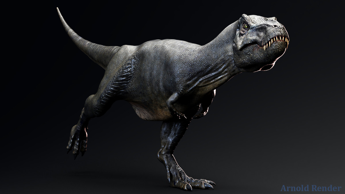Dinosaur - Sub-Adult TRex