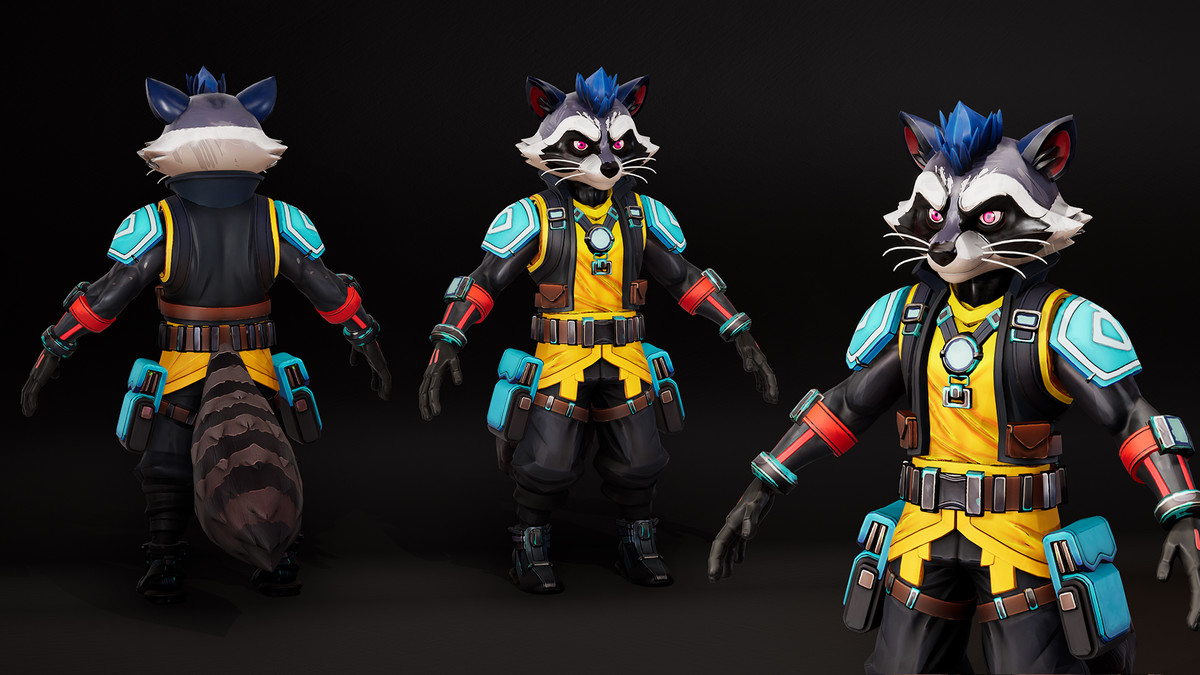 Raccoon 01