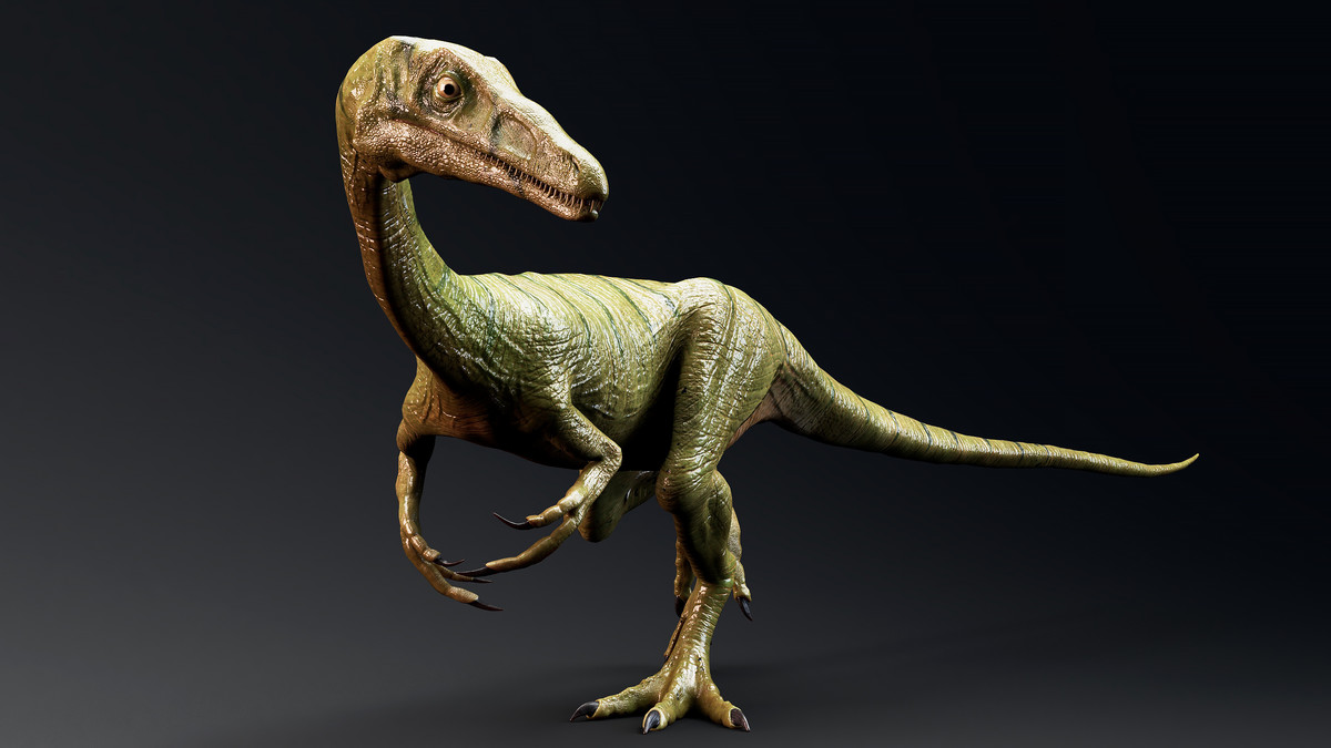Dinosaur-Compsognathus - 110 Animations