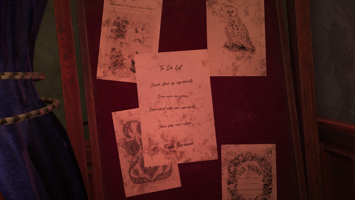 Witch House (Magical House, Magical Shop, Witch Shop, Fantasy Shop)