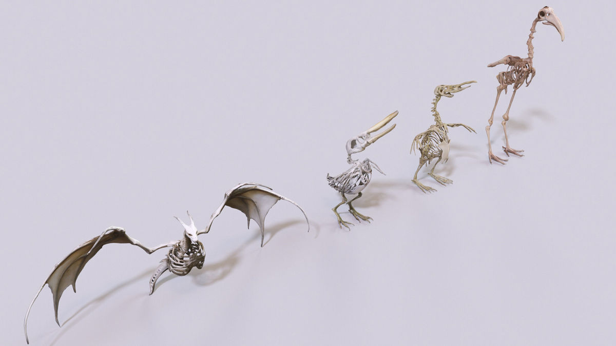 Ultimate Skeleton and Skull Pack. Game-ready low-poly assets