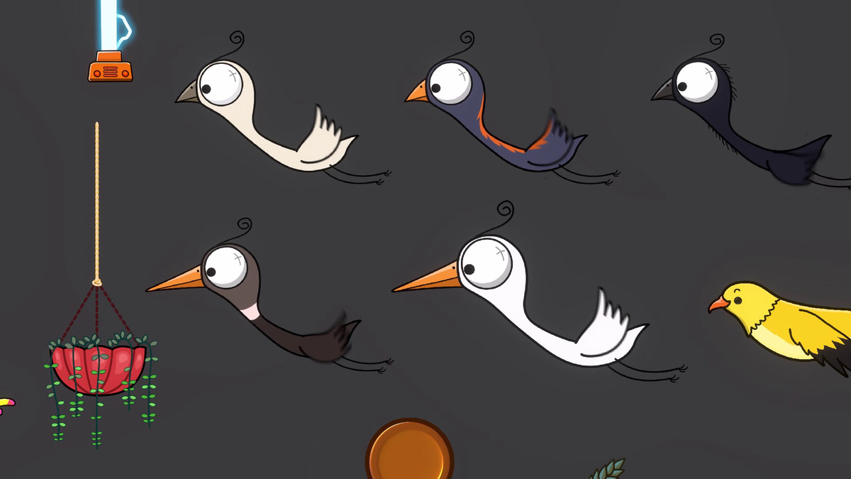 Cute Birds 8 in 1 PRO