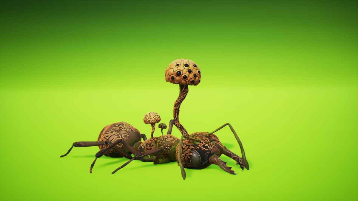 Cordyceps Ant