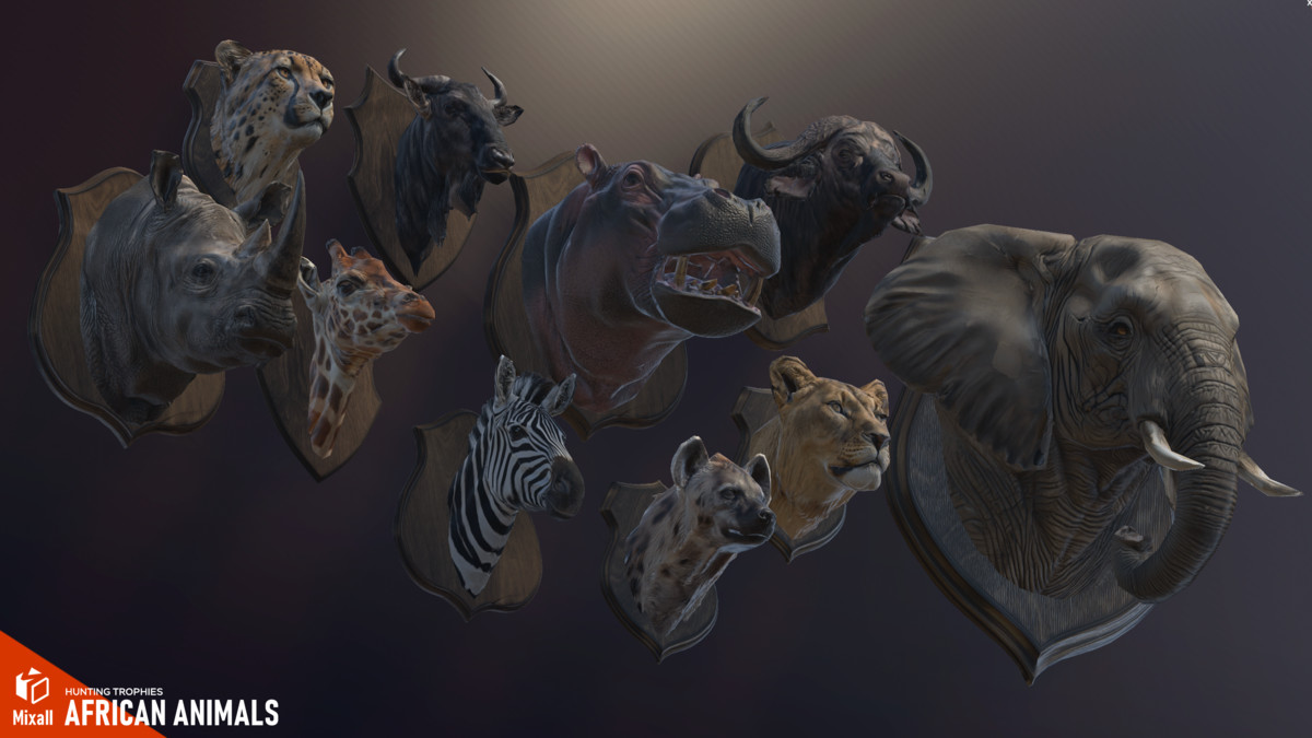 African animals – Hunting trophies