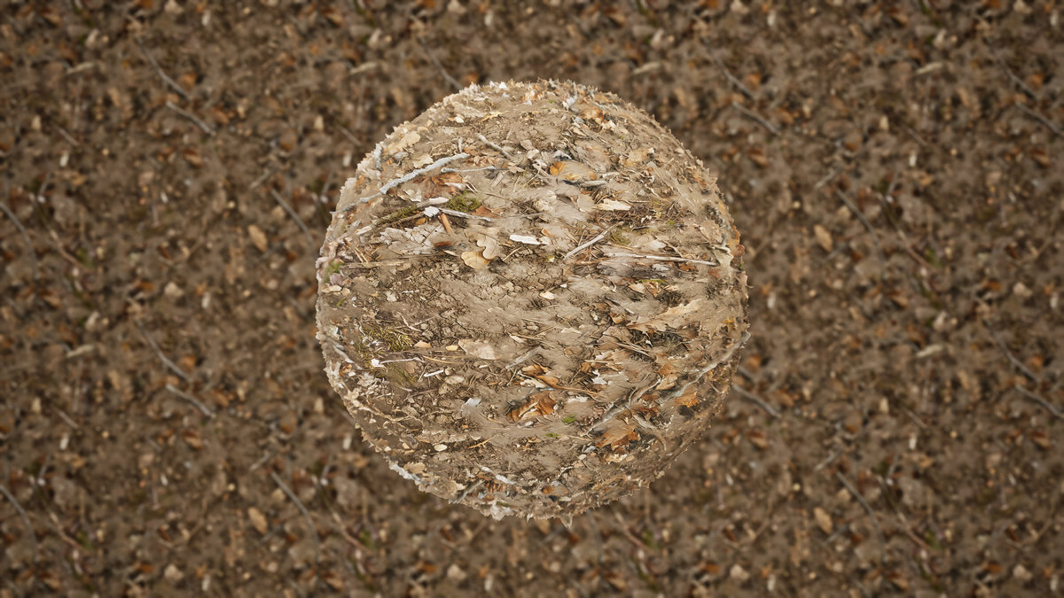 Realistic Materials - Forest Ground 2