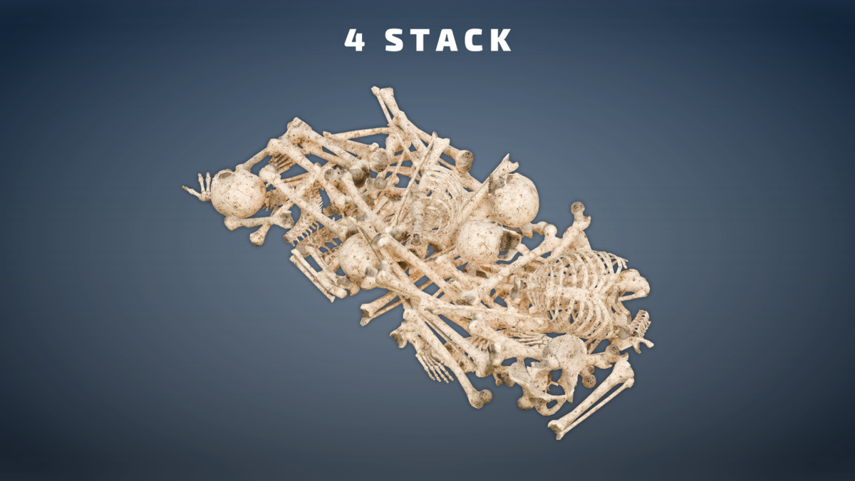 Skeleton Pack