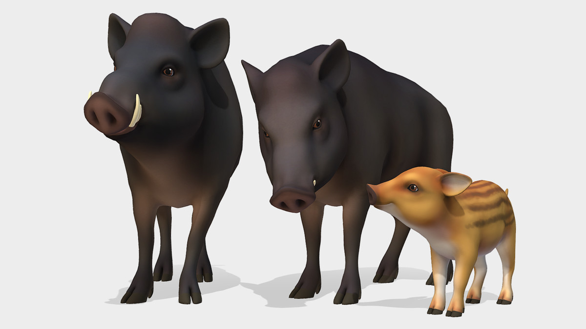 Cartoon Wild Animals