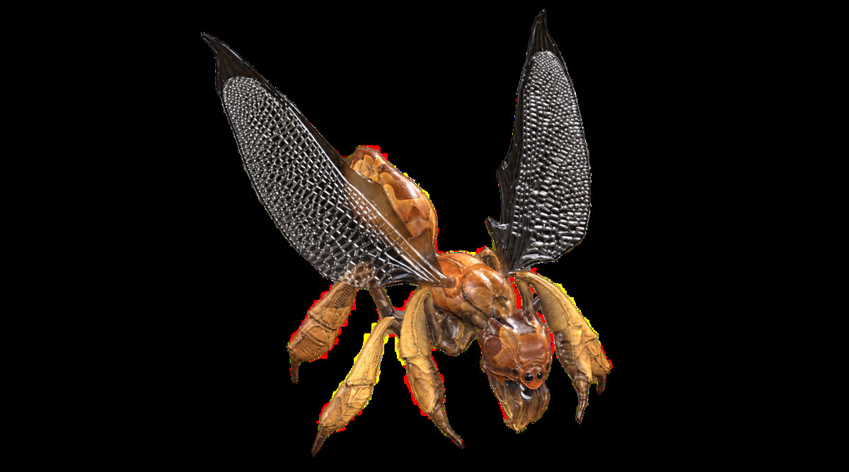 Full Insect Monsters Bundle