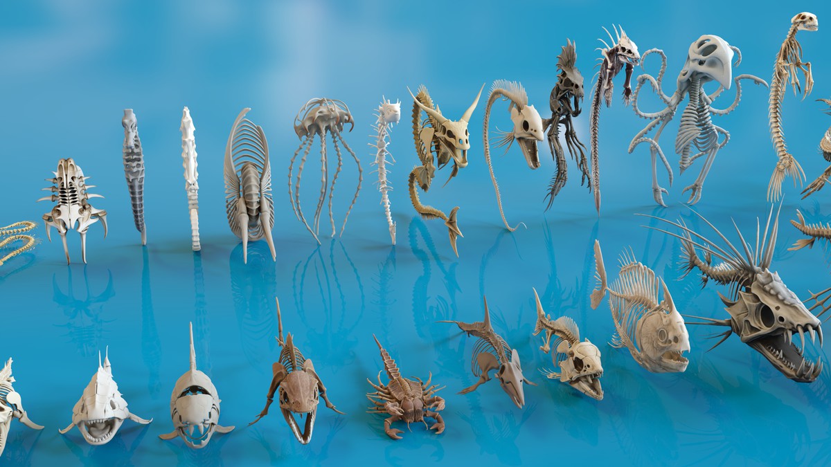 Fish and Underwater Creatures Skeleton Collection – Marine Bone 3D Asset Pack