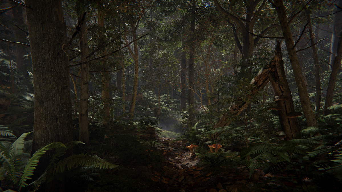 SeedMesh Forest Bundle