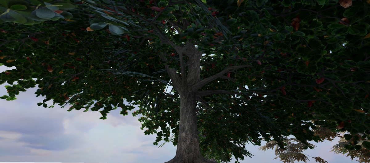 WG Indian Almond Tree Pack