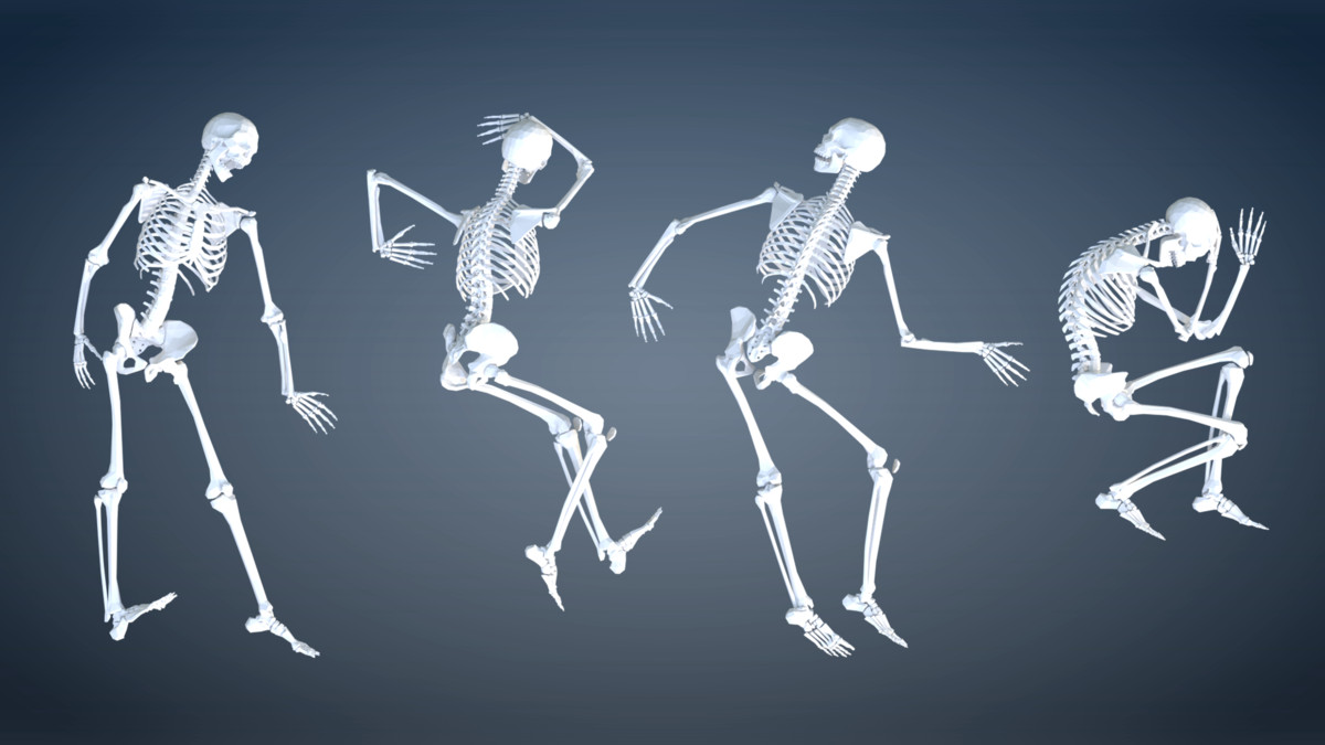 PolyArt Series - Skeletons