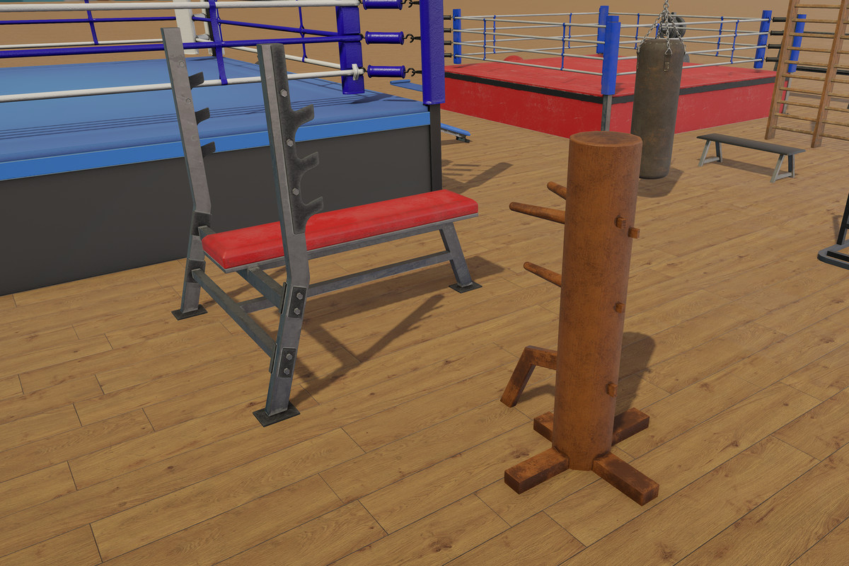 Boxing and Gym Equipment