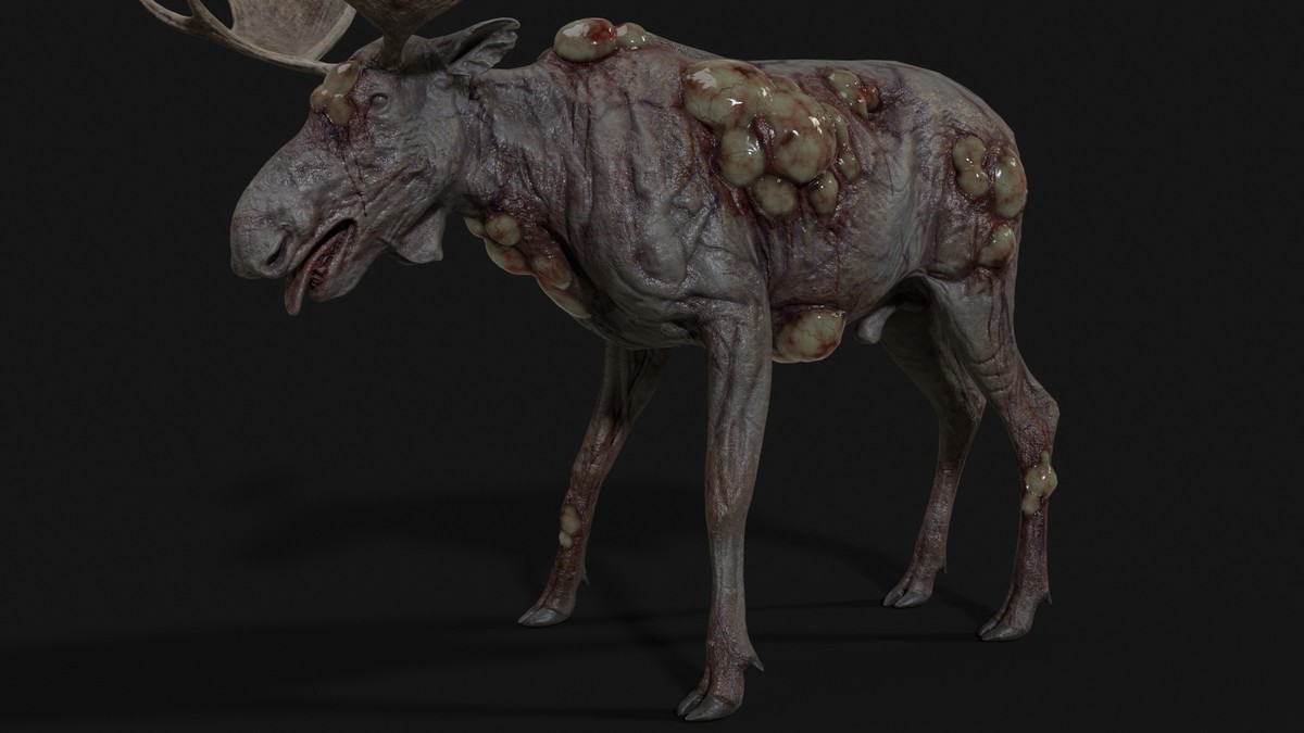 Rot Moose