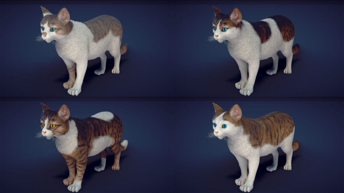 Milo the Cat