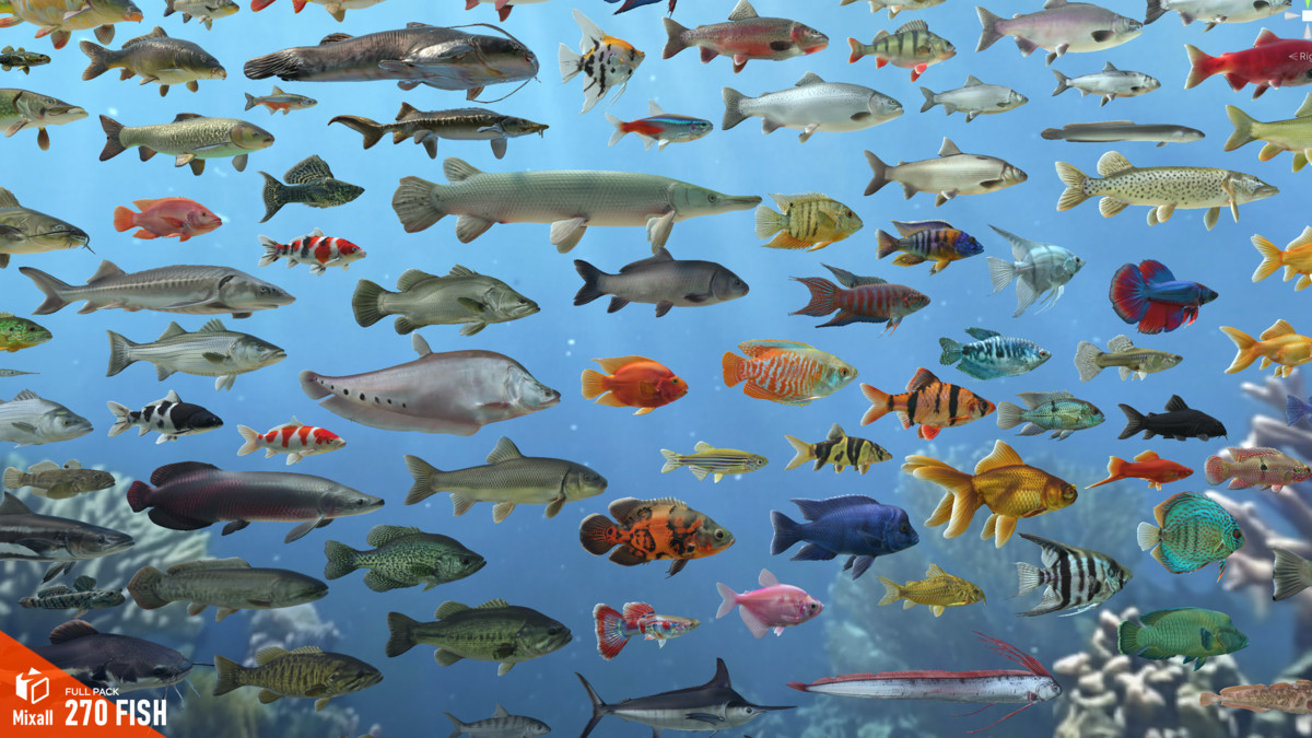 270 fish - Full pack