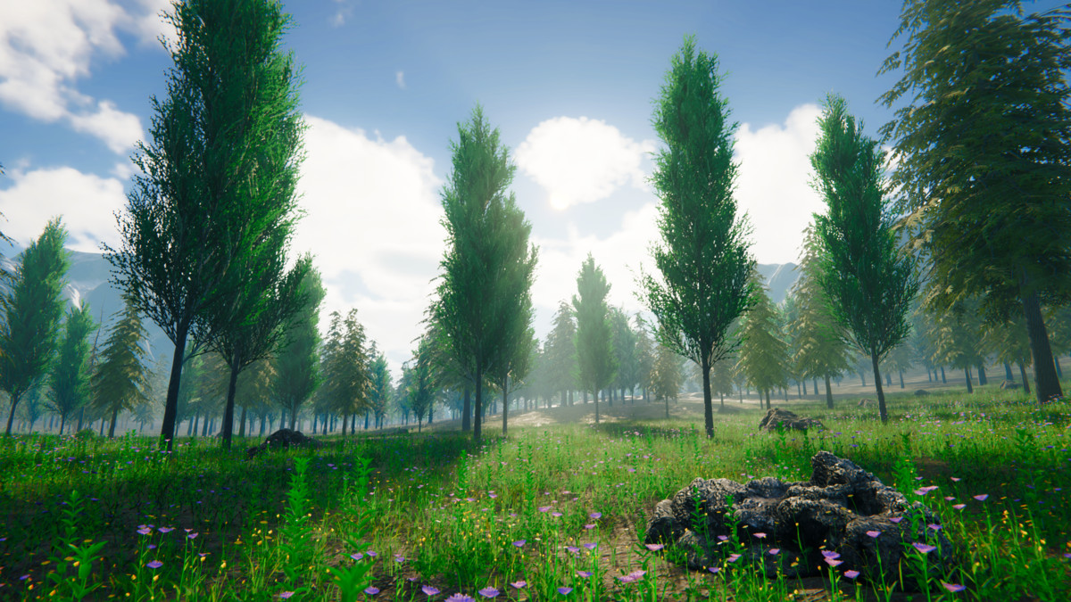 Grass Landscape