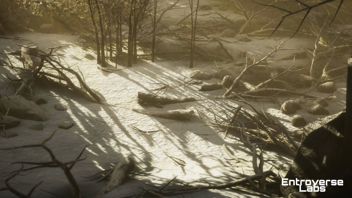 Taiga Biome Environment / Boreal Tundra Forest