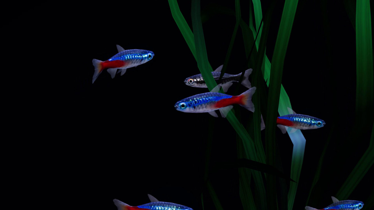 Fish School AI - Tropical Aquarium Set