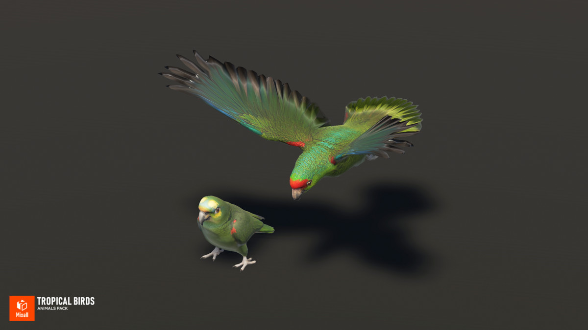Tropical birds - animals pack
