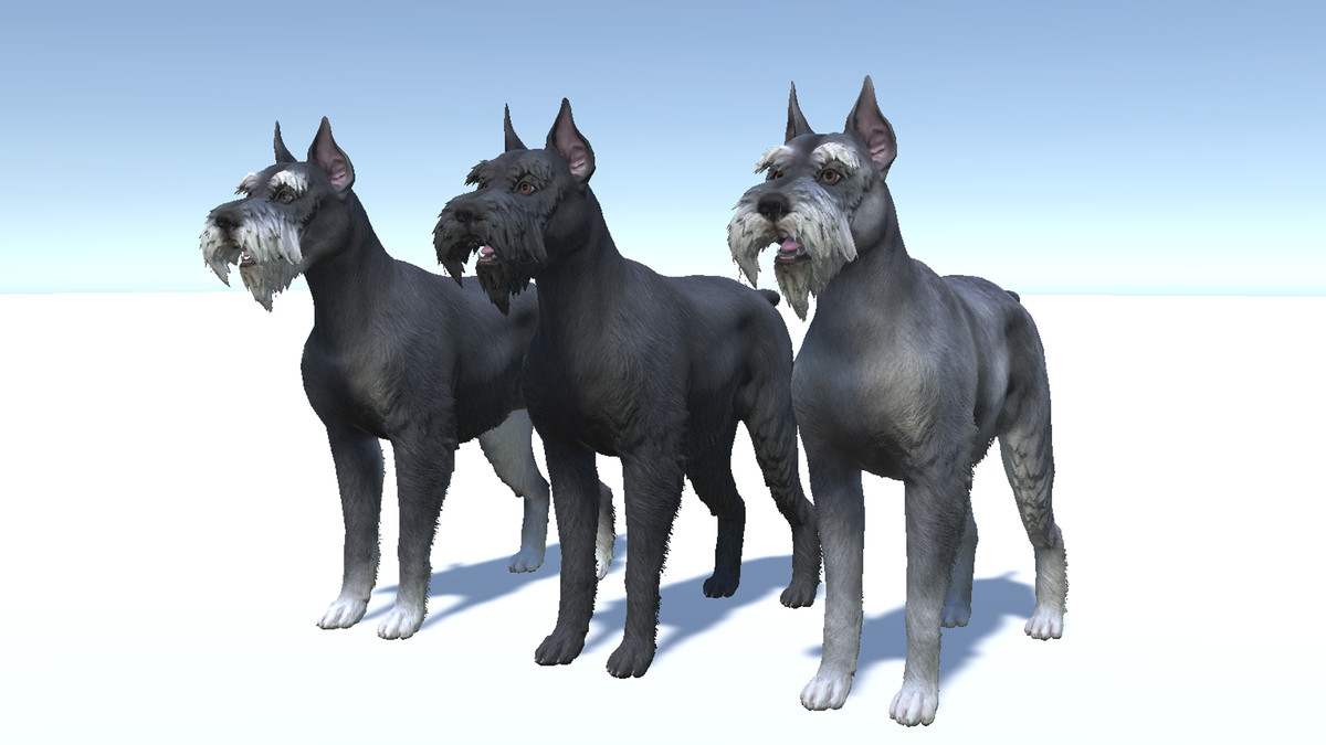 Dog - Schnauzer