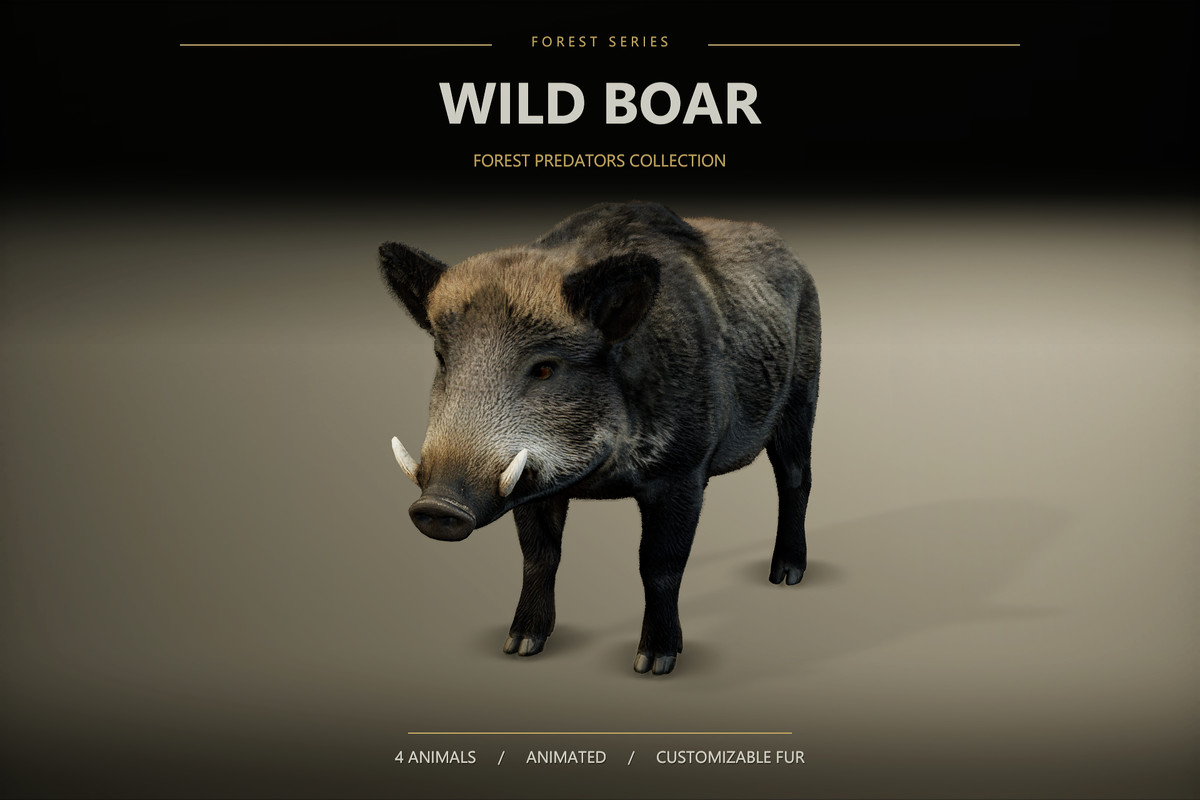 Forest Predators Collection - Realistic Animated Animals