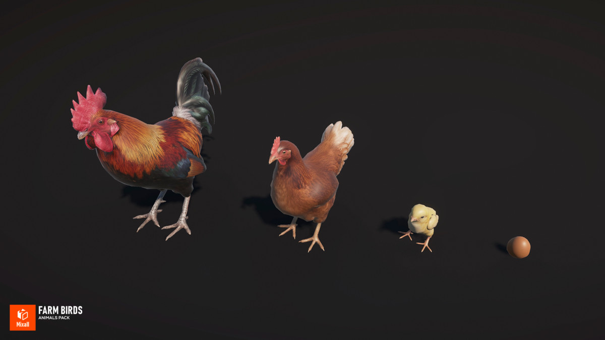 Farm birds - animals pack