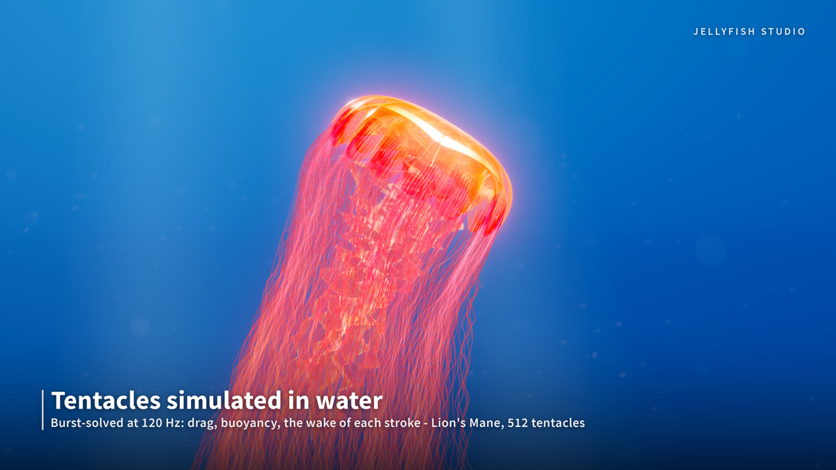 Jellyfish Studio — Procedural Jellyfish Generator