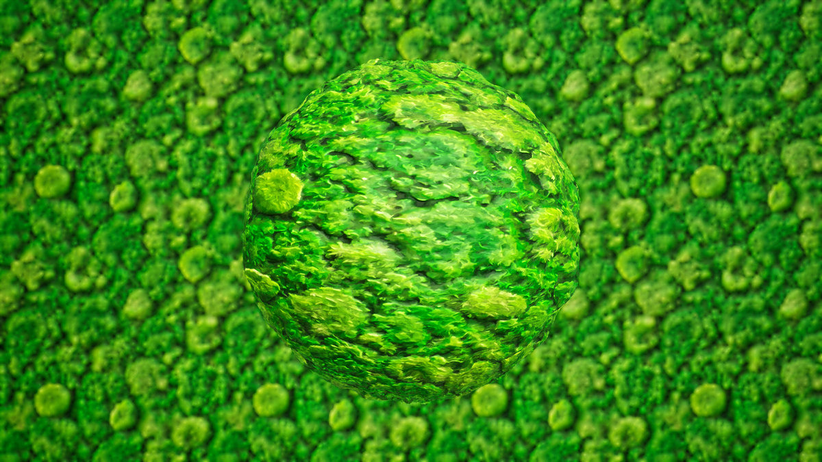Stylized Materials - Moss 1