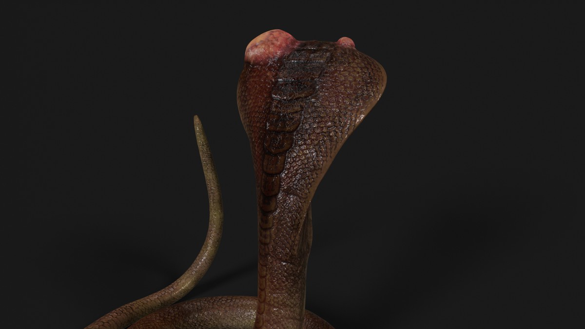 Snake - Mutant Collection