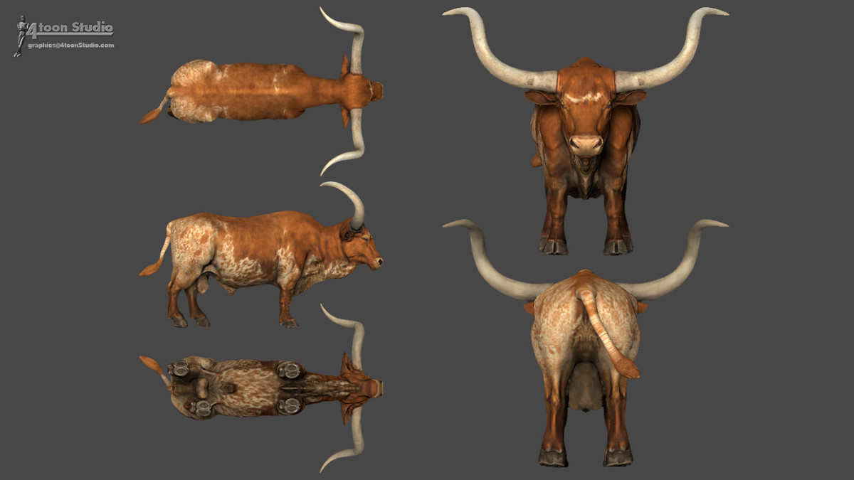 Domestic Bull Texas Long Horn (SV)