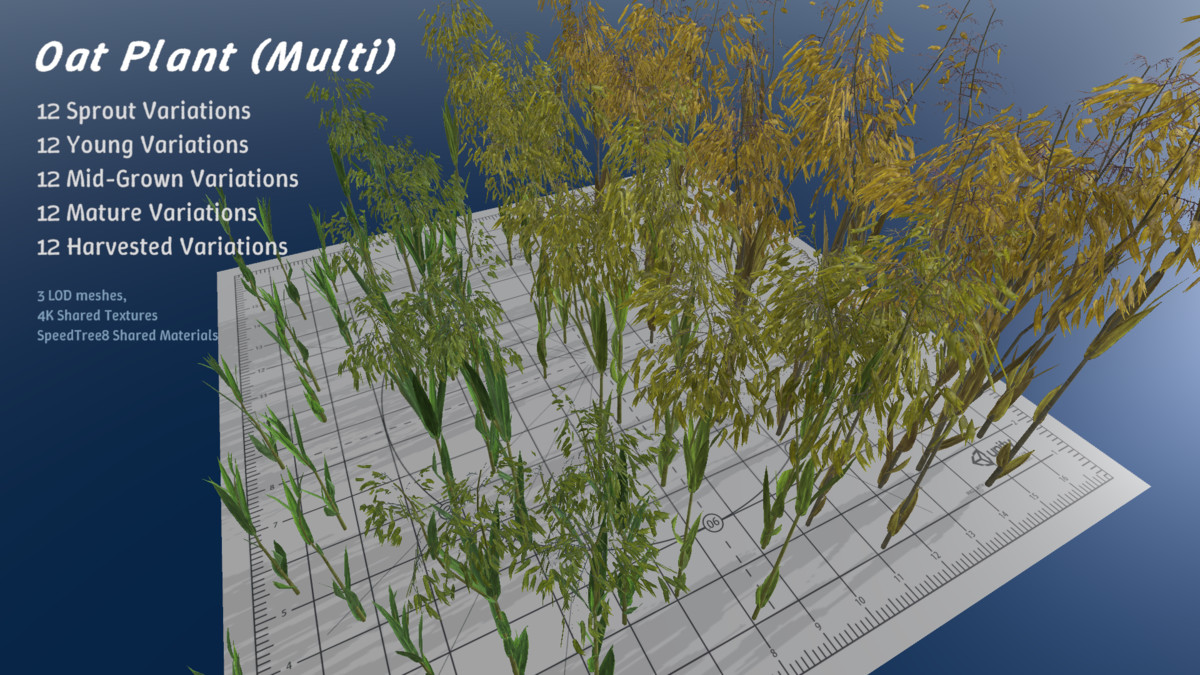Harvest Garden