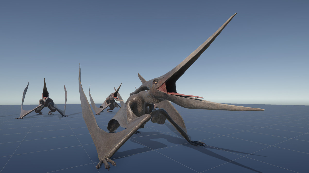 Dinosaur Pteranodon 179 Animations