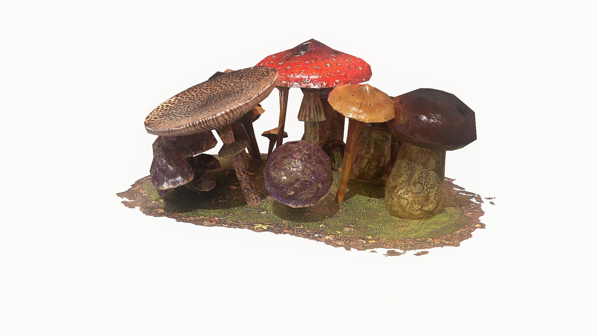Mushrooms