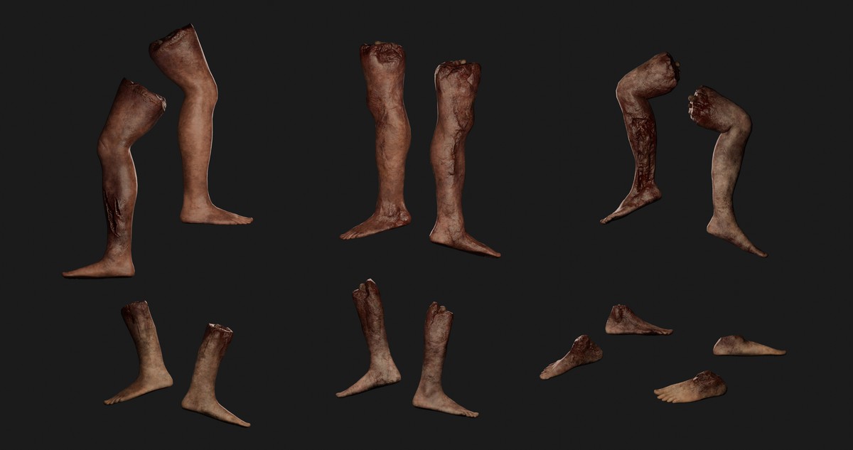Human Body Parts