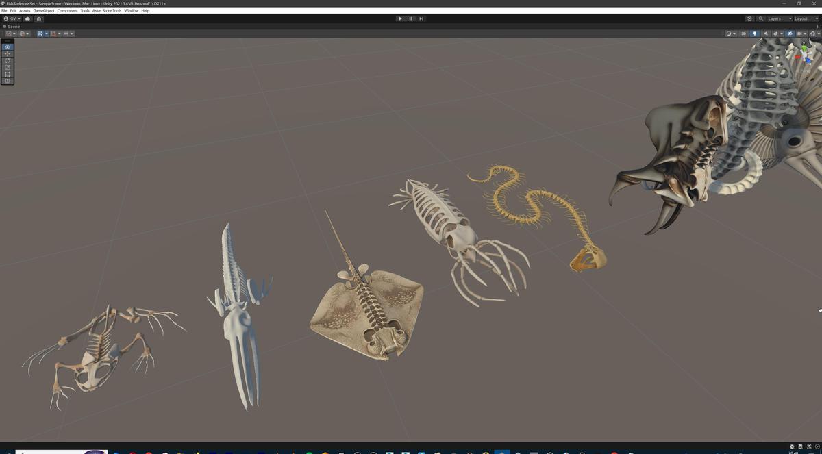 Fish and Underwater Creatures Skeleton Collection – Marine Bone 3D Asset Pack