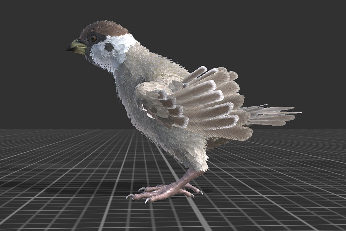 Sparrow Feathered