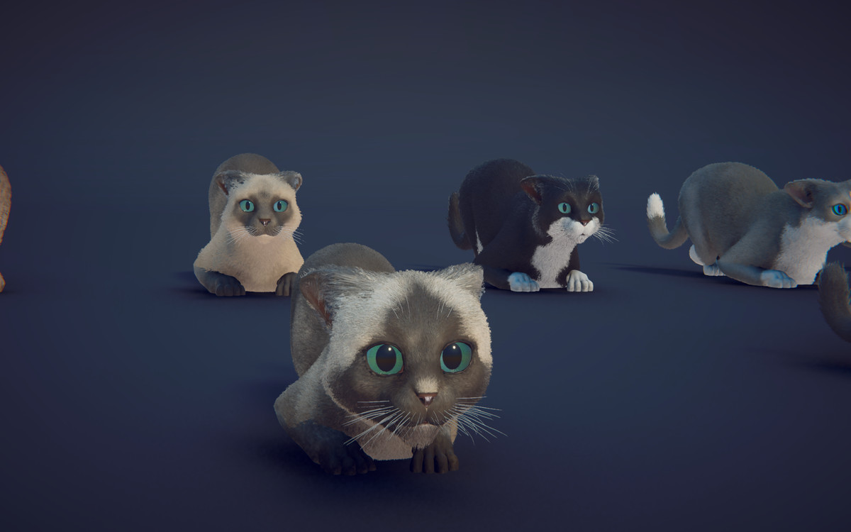 Milo the Cat