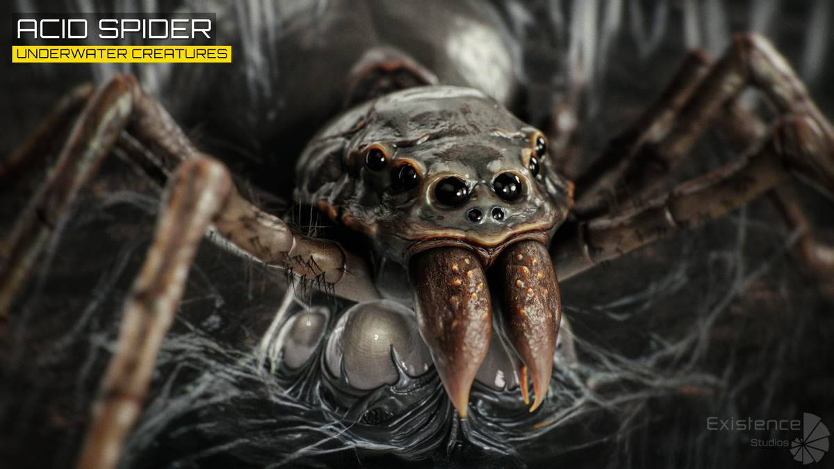 Underwater Creatures Pack 4 - WalrusSeal, Spider, Turtle, Worm, Dolphin & Remora