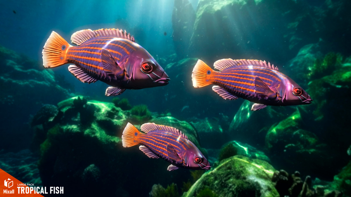 Tropical fish - large pack