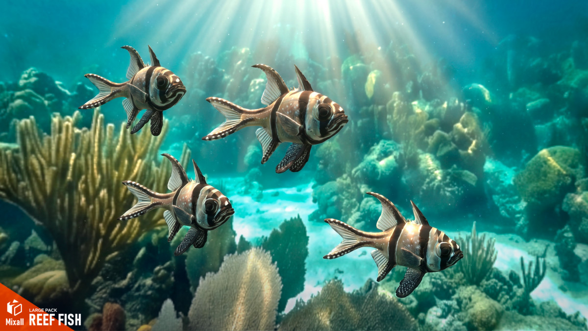 Reef fish - large pack